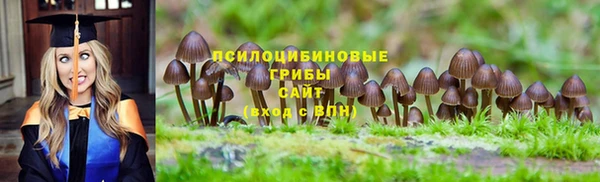 PSILOCYBIN Дмитриев