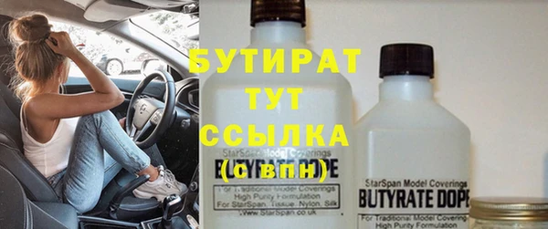 гашик Дмитров