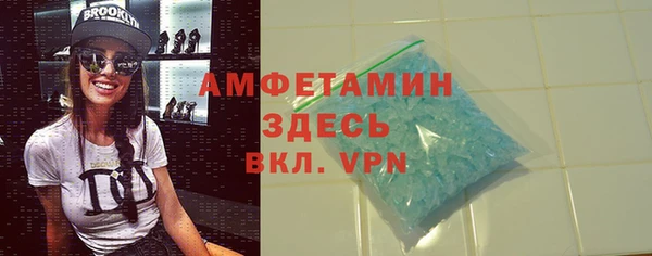 гашик Дмитров