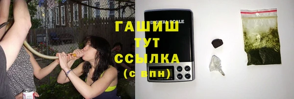 PSILOCYBIN Дмитриев