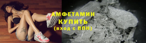 PSILOCYBIN Дмитриев