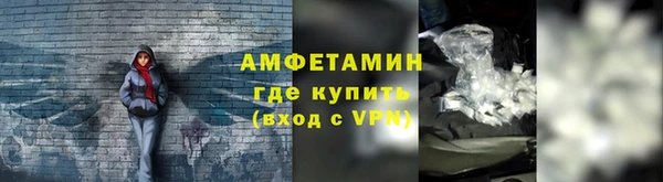 гашик Дмитров