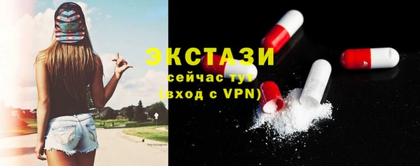 гашик Дмитров