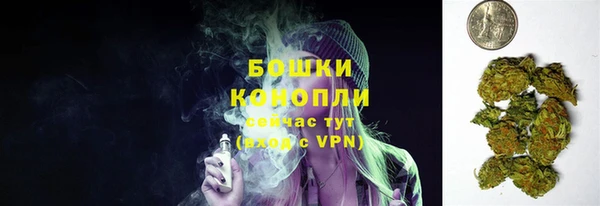 гашик Дмитров