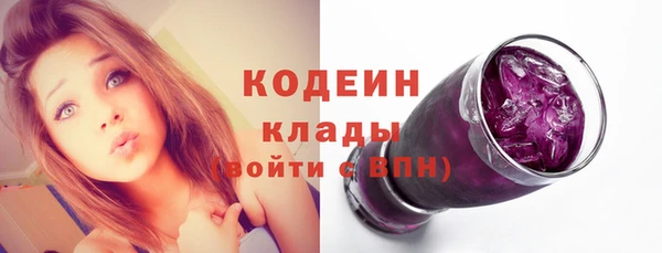 PSILOCYBIN Дмитриев