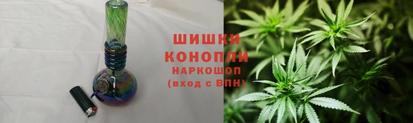 PSILOCYBIN Дмитриев