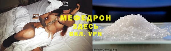 гашик Дмитров