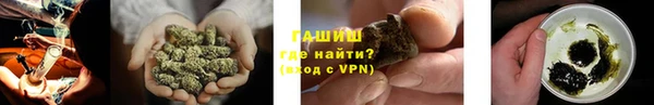 гашик Дмитров