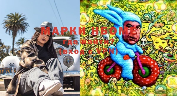 PSILOCYBIN Дмитриев