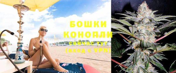 PSILOCYBIN Дмитриев
