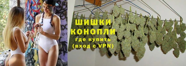 гашик Дмитров