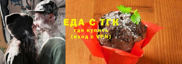 гашик Дмитров
