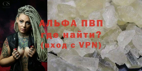PSILOCYBIN Дмитриев