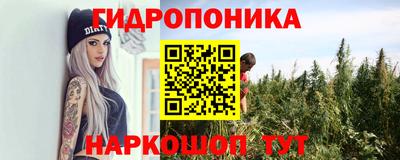 метадон Можга