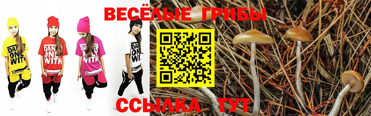 Дагестанские Огни  Галлюциногенные грибы GOLDEN TEACHER  Галлюциногенные грибы Psilocybine cubensis  Вход с VPN 