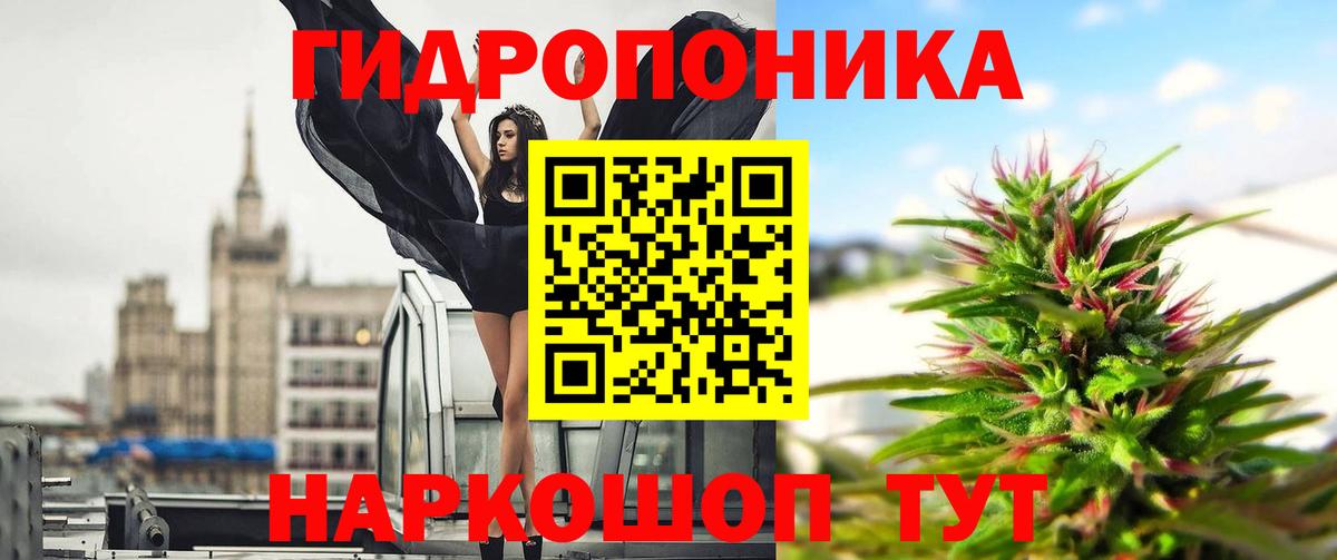 Бошки марихуана ГИДРОПОН Дагестанские Огни